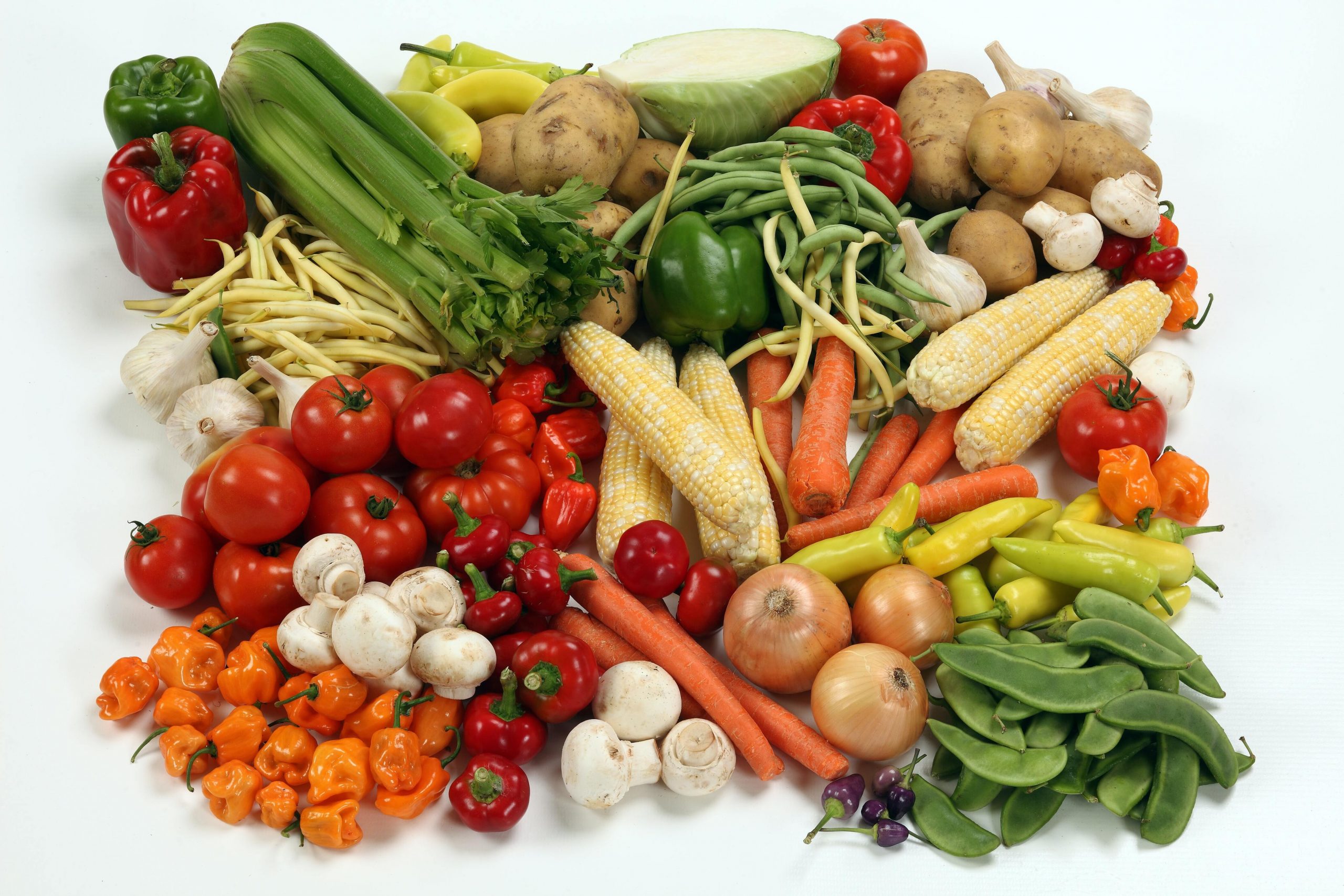 Alimenta Brasil Cadastro 2025 em Marabá – PA Alimenta Brasil Cadastro - Legumes
